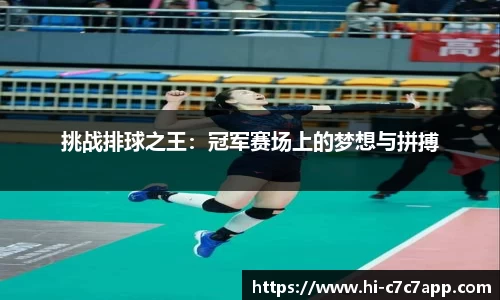 挑战排球之王：冠军赛场上的梦想与拼搏
